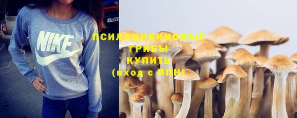 метадон Осинники