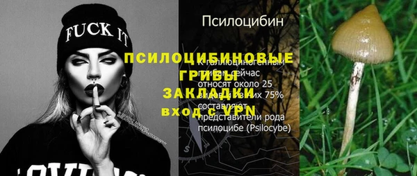 не бодяженный Осташков