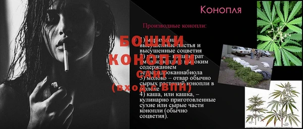 гидра Нязепетровск