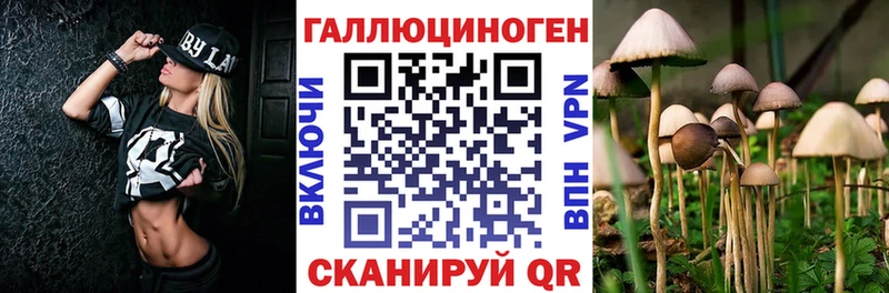 Псилоцибиновые грибы прущие грибы Пугачёв
