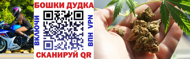Марихуана OG Kush  Пугачёв 